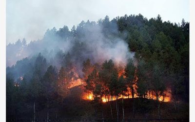 Pencegahan Kebakaran Hutan di Desa Ujungbarang